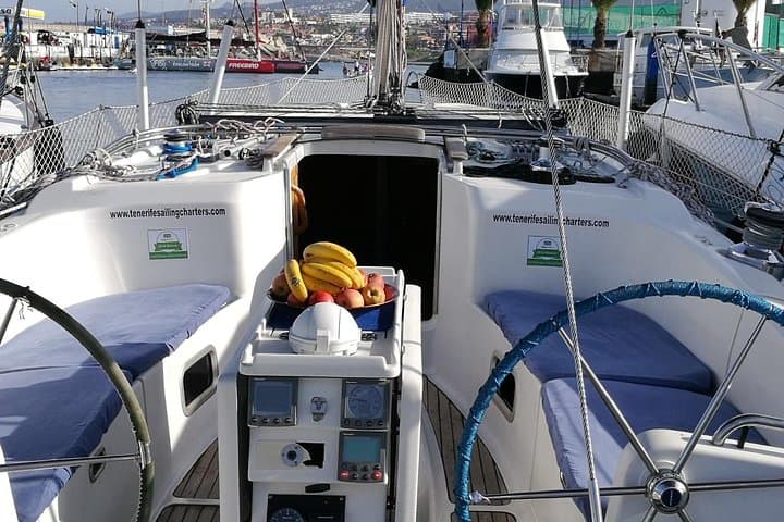 Private Yacht Whale and Dolphin Watching — 3-Hour Tenerife Luxury Charter photo 3