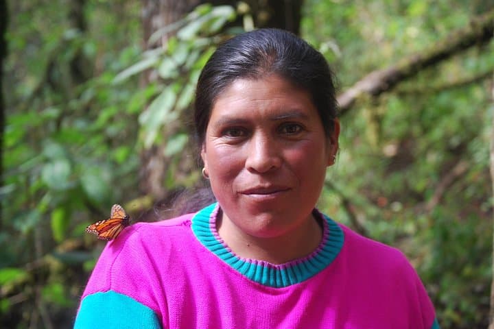 7-Day Monarch Butterfly Migration Eco Tour from Mexico City photo 3