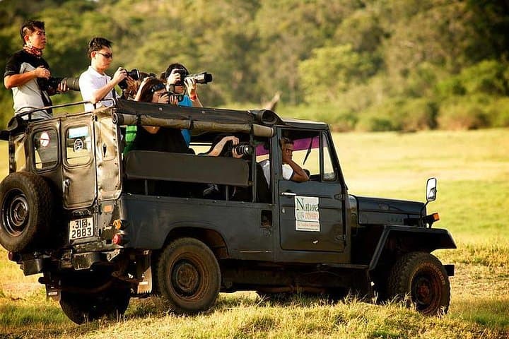 Afternoon Safari at Yala National Park: 3-Hour Game Drive for Leopard Viewing photo 6