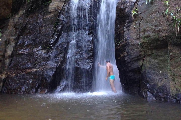 Horto Waterfalls Circuit: Guided Hike and Swimming in Tijuca National Park photo 3