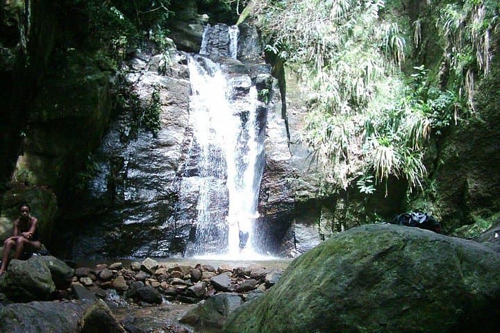 Horto Waterfalls Circuit: Guided Hike and Swimming in Tijuca National Park photo 4