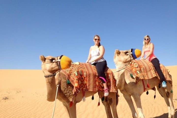 VIP Hummer Desert Safari with Quad Bikes, Camel Rides & BBQ in Dubai photo 5