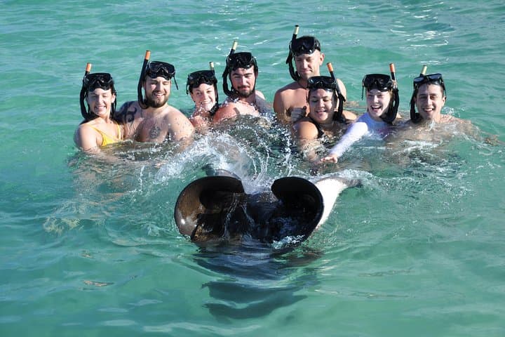 Dive into Adventure: Sharks & Stingrays Encounter in Punta Cana photo 6
