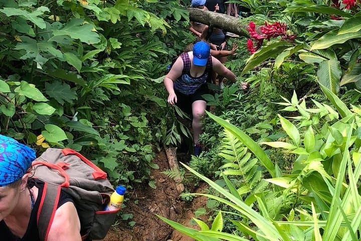 El Yunque Rainforest Adventure from Fajardo: Rock Climbing, Natural Pools & Rope Swings photo 3
