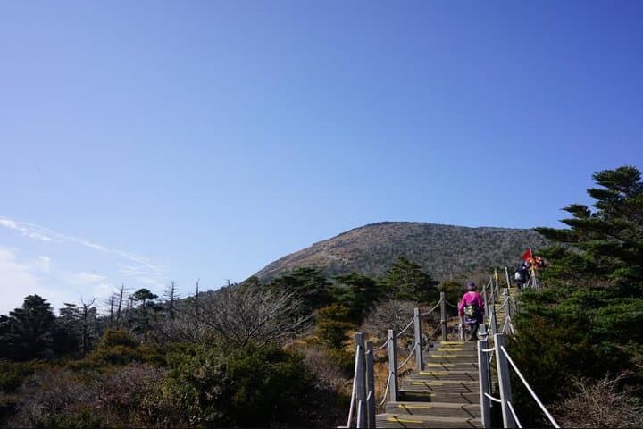 Hallasan Seongpanak Transfer: Private One-Way & Round-Trip from Jeju City