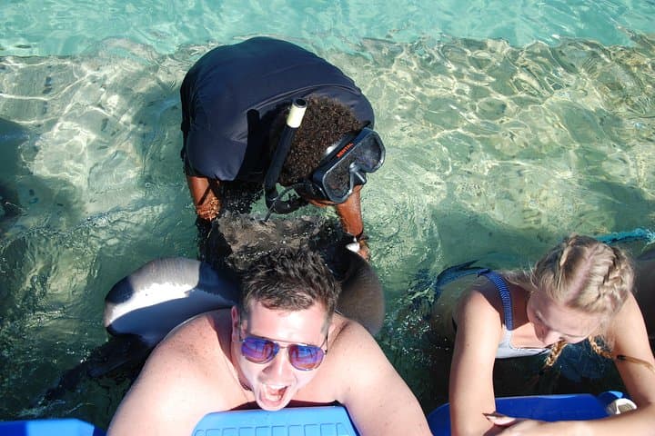 Dive Into Adventure: Snorkeling with Sharks and Rays in Punta Cana photo 4