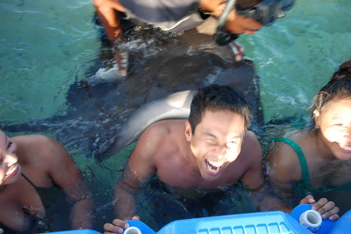 Dive Into Adventure: Snorkeling with Sharks and Rays in Punta Cana photo 5