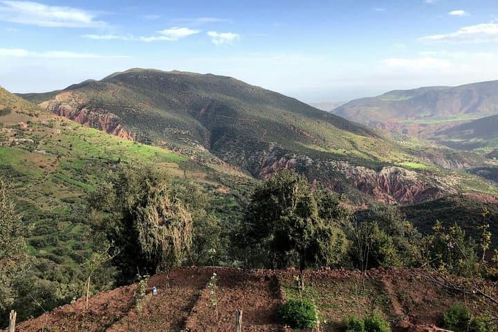 Imlil Guided Day Trip from Marrakech: Atlas Valley Walks & Berber Lunch