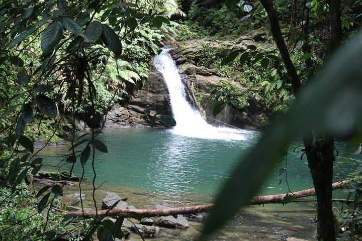 Rio Seco Waterfall Hike and Swim Near Toco — Easy 1‑Hour Trail to an Emerald Plunge Pool