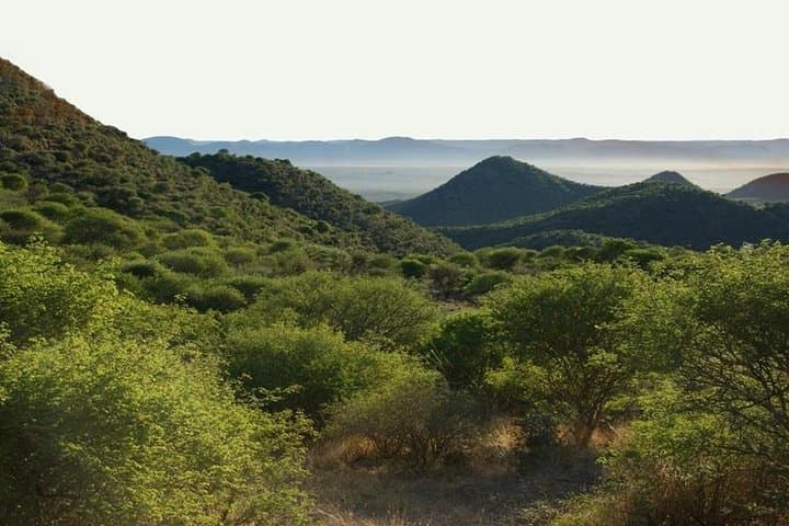 Sunset Game Drive at Durstenbrook Guest Farm — Windhoek Wildlife Experience photo 2