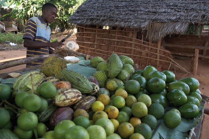 Zanzibar Spice Tour: Cloves, Vanilla & Tropical Fruit Tasting Near Stone Town photo 4
