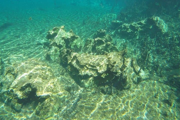 Snorkel the Crystal Rivers at Recanto Ecológico Rio da Prata photo 6