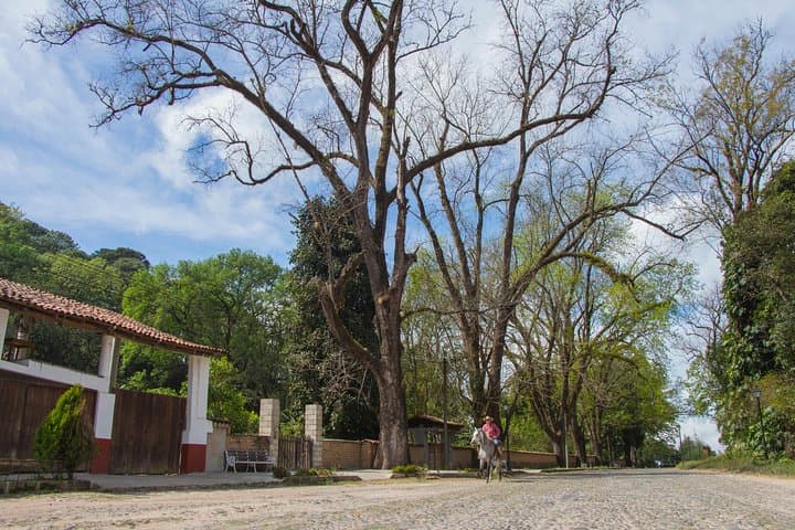 Day Trip to San Sebastián del Oeste: Colonial Streets, Coffee Farms & Mountain Views photo 6
