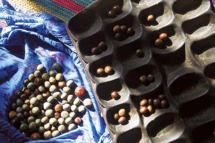 Made in Zanzibar: Half-Day Craft Tour of Stone Town Workshops & Markets photo 3