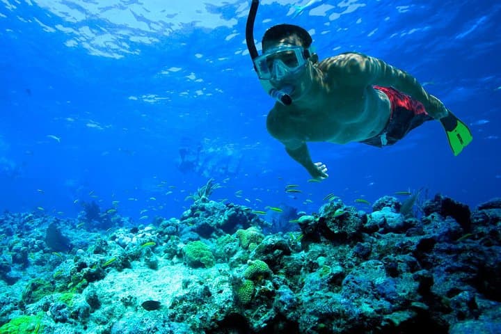 Cancún Snorkeling: Underwater Museum, Reefs & Swim with Turtles photo 5