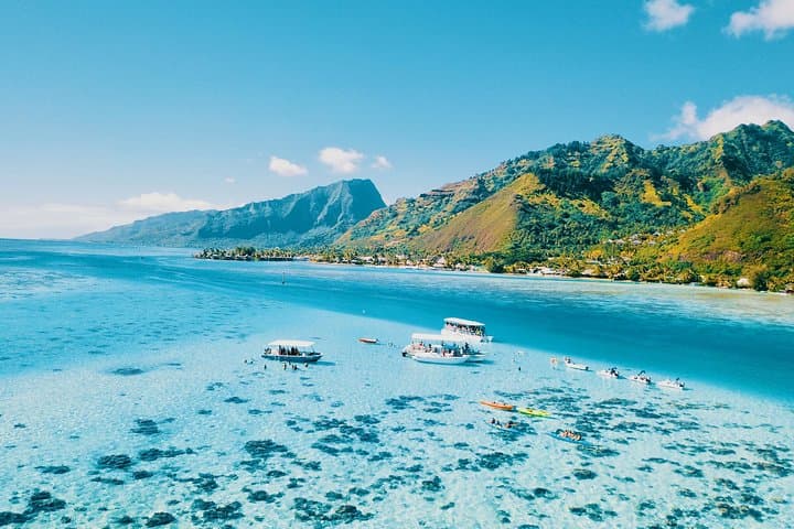 Half-Day Snorkeling Adventure in Moorea's Opunohu Bay