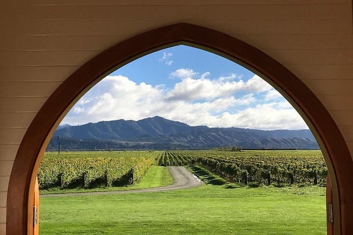 Private Picton Wine Tour: Marlborough Tastings, Chocolates & Vineyards photo 1