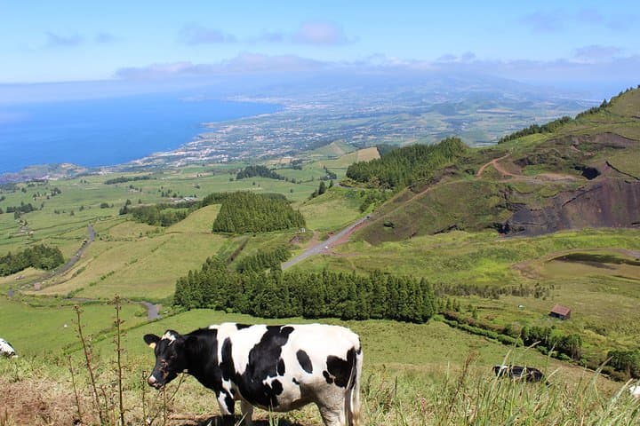 Half-Day Sete Cidades Jeep Tour: Lakes & Caldera Views on São Miguel photo 3