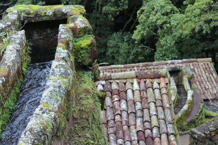 Nordeste Full-Day Private Tour & Queijo Fresco Cooking Lesson, São Miguel photo 4