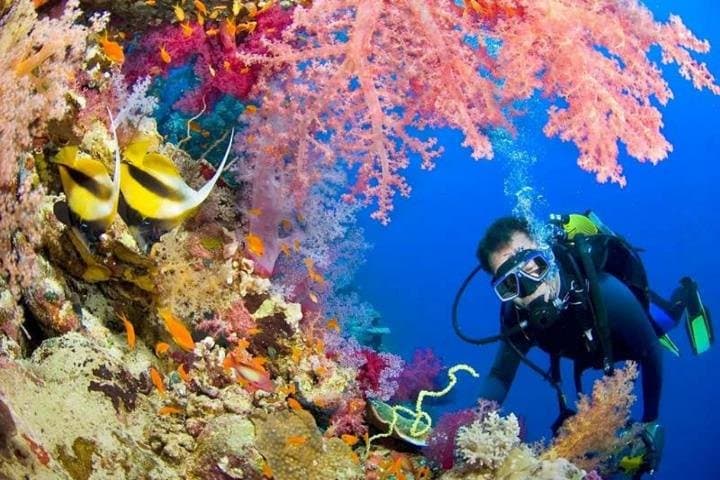 Red Sea 2‑Dive Boat Tour from Hurghada — Abu Ramada & Small Giftun