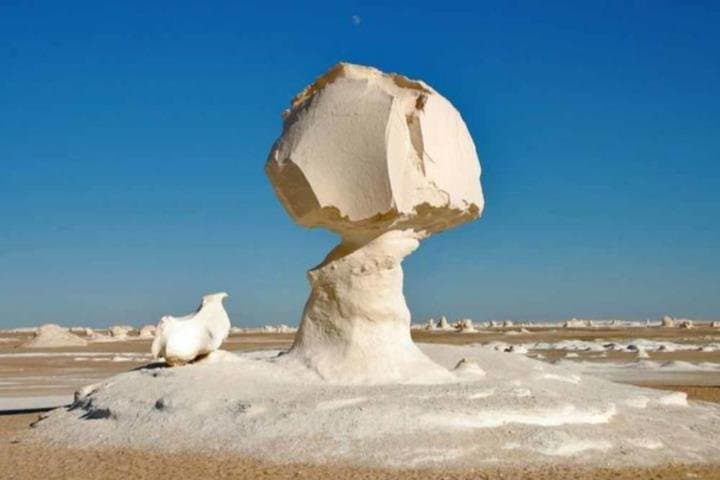 6-Day Desert Safari from Cairo: Fayoum, White Desert & Bahariya Oasis photo 2