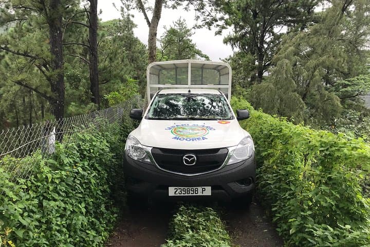 Moorea 4WD Adventure: Belvedere Lookout, Pineapple Fields & Magic Mountain photo 4