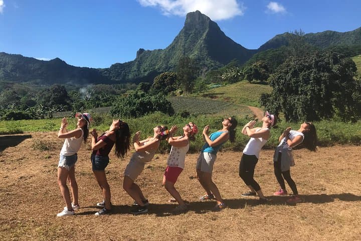 Moorea 4WD Adventure: Belvedere Lookout, Pineapple Fields & Magic Mountain photo 6