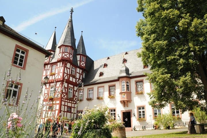 Half-Day Excursion from Frankfurt to Rüdesheim: River Vistas, Vinery Hills & the Niederwald Monument photo 3