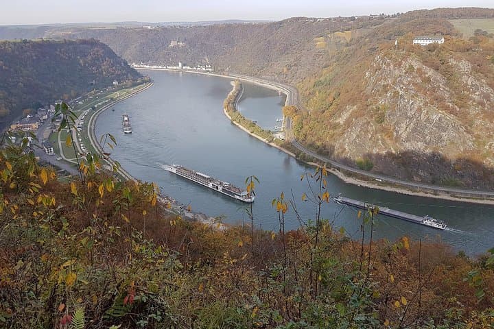 Half-Day Excursion from Frankfurt to Rüdesheim: River Vistas, Vinery Hills & the Niederwald Monument