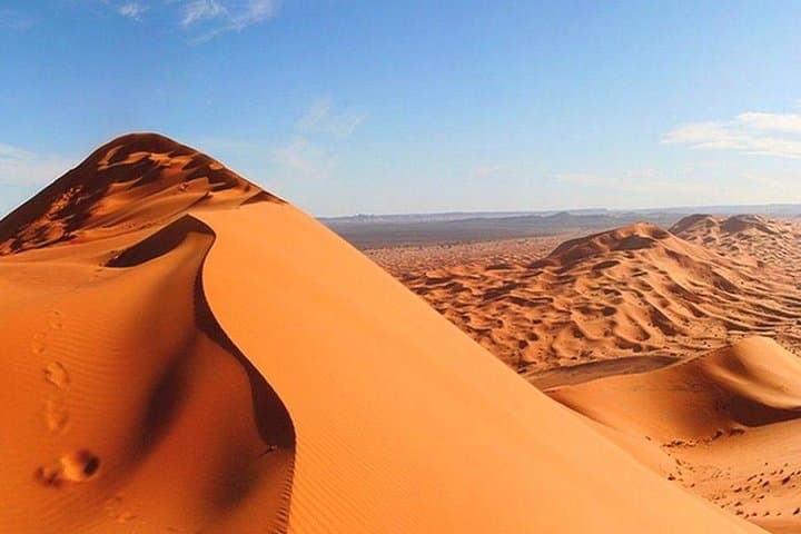 Morning Red Dunes Safari: Camel Ride, Dune Bashing & Sandboarding in Lahbab photo 3