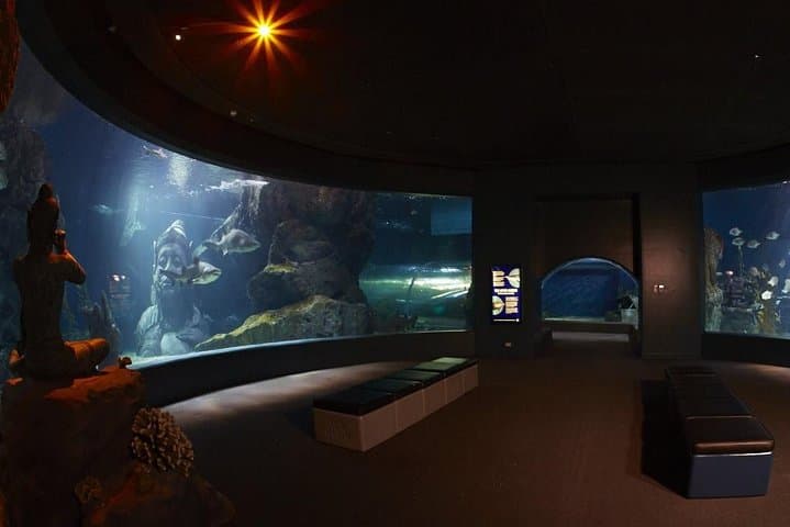Inside Sea Life Ocean World Bangkok: Tickets, Highlights & Visitor Guide photo 2