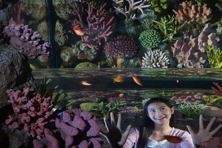Inside Sea Life Ocean World Bangkok: Tickets, Highlights & Visitor Guide photo 3