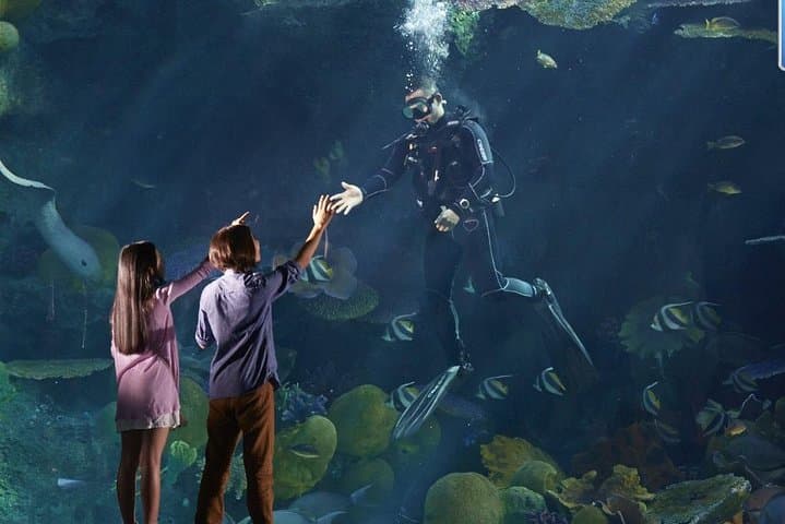 Inside Sea Life Ocean World Bangkok: Tickets, Highlights & Visitor Guide photo 4