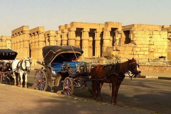 Luxor Horse Carriage Tour Along the Nile Corniche — 2‑Hour Cultural Ride photo 1