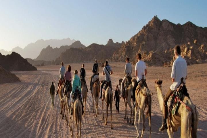 Evening Bedouin Safari & Stargazing from Sharm El Sheikh: Camel Ride, Dinner and Telescope Viewing photo 2