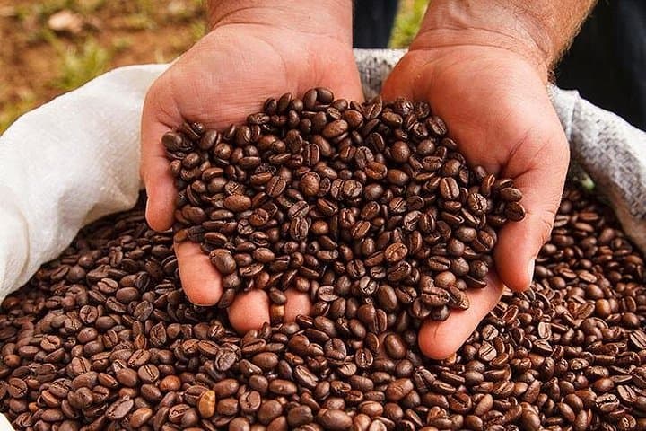 Doka Estate Coffee Tour — Grecia & Sarchí Oxcarts Private Day Trip