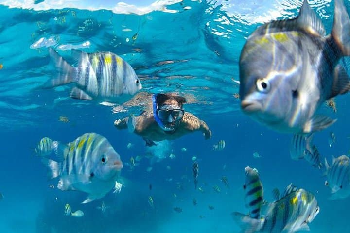 Catamaran to Isla Mujeres: Full-Day Snorkel, Beach Club & Open Bar from Cancún photo 6