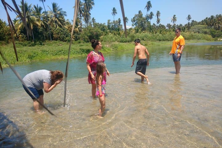 Coyuca Lagoon Jungle Boat Ride & Baby Turtle Release — Acapulco Eco Boat Tour photo 4