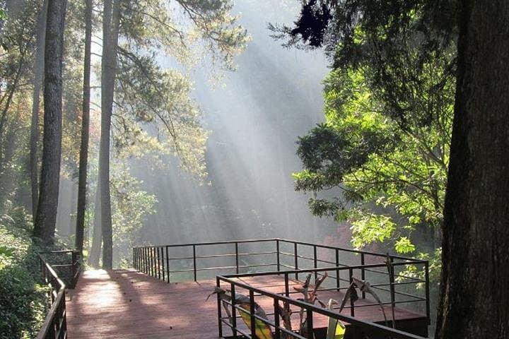 Bandung Volcano & Hotsprings Day Tour — Tangkuban Perahu, Waterfall & Japanese Cave photo 1