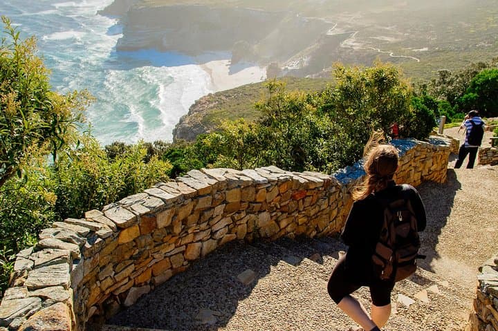 Half-Day Boulders Beach & Cape Point Tour: Penguins, Cliffs and Lighthouse Views photo 3