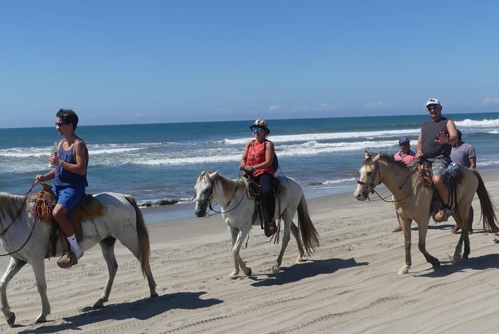 Acapulco Lagoon Boat, Beach Horseback & Turtle Release — Day Tour photo 6