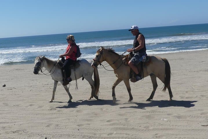 Acapulco Lagoon Boat, Beach Horseback & Turtle Release — Day Tour