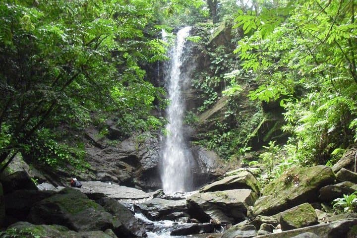 Avocat Waterfall and Maracas Bay: North Coast Hike and Beach Stop from Port of Spain