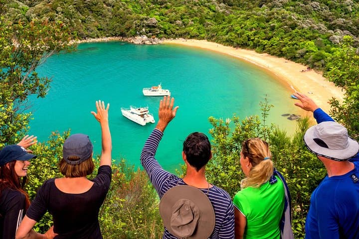 Best Abel Tasman Day Trip: Cruise, Kayak & Coastal Walk