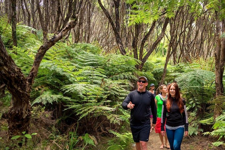 Best Abel Tasman Day Trip: Cruise, Kayak & Coastal Walk photo 4