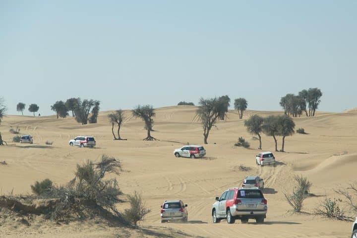 Dubai Desert Safari: Full Bedouin-Style Evening with Dune Bashing and BBQ photo 3