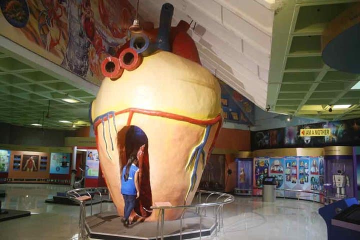 Explore Mumbai: The Ultimate City Tour for Kids photo 3