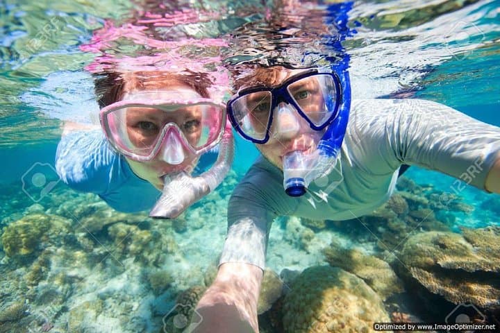 Full-Day Red Sea Snorkeling from Hurghada: Coral Reefs, Turtles & Dolphins photo 3