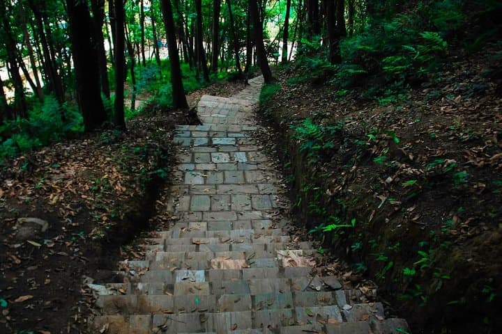 Nagarjun and Jamacho Gumba Day Hike from Kathmandu: Shivapuri Forest, Monastery & Himalayan Views photo 2
