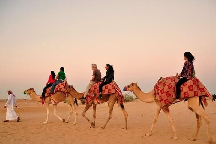 Dubai Dune Buggy Safari: Sand-Boarding, BBQ Dinner & Live Desert Show photo 5